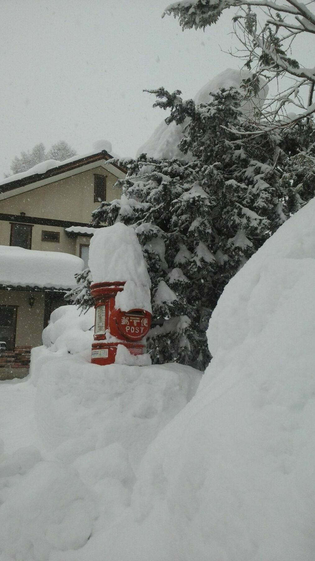 Sakka Sanso Villa Hakuba Exteriör bild